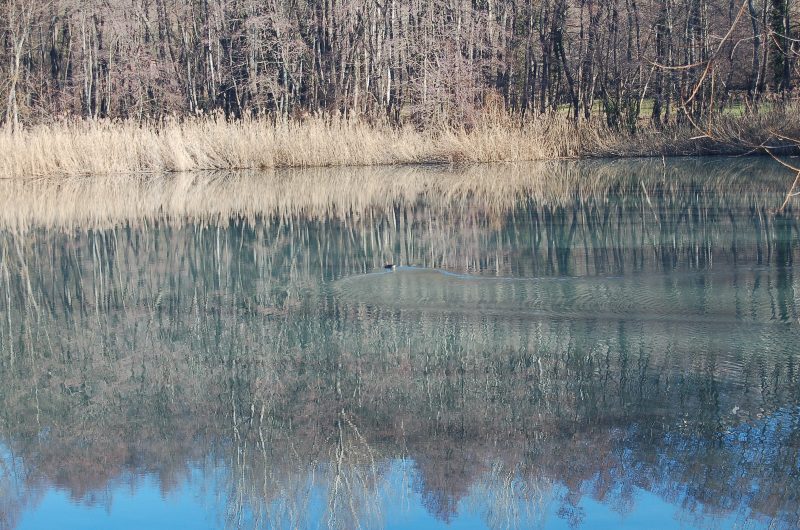 Lago termale di Pr di Lama.